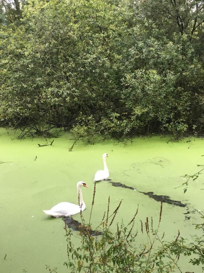 Voel Je Thuis * Zwolle (Overijssel)